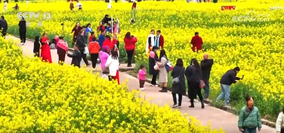 好风景变身好“钱”景 鸟语花香点亮“春日经济”新活力 好风景变身好“钱”景 鸟语花香点亮“春日经济”新活力