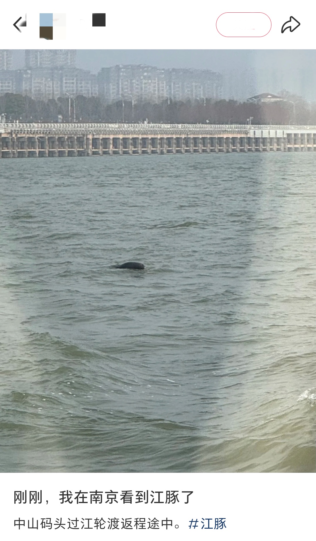 南京将直冲23°C！“顶流”营业中