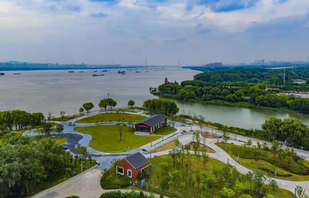 南京将直冲23°C！“顶流”营业中