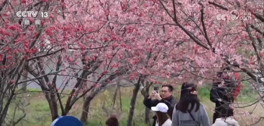 好风景变身好“钱”景 鸟语花香点亮“春日经济”新活力 好风景变身好“钱”景 鸟语花香点亮“春日经济”新活力