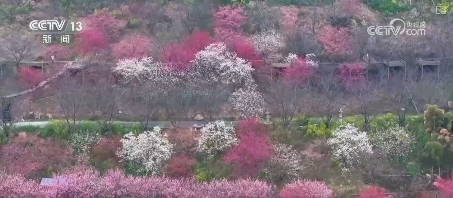 好风景变身好“钱”景 鸟语花香点亮“春日经济”新活力 好风景变身好“钱”景 鸟语花香点亮“春日经济”新活力