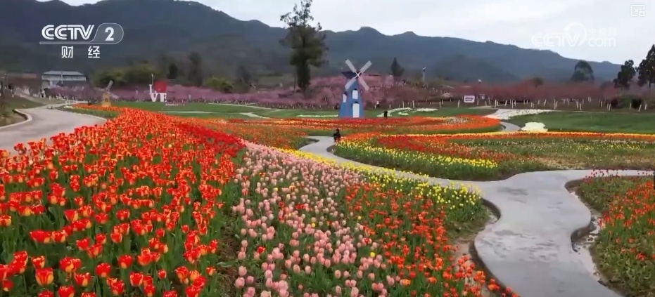 好风景变身好“钱”景 鸟语花香点亮“春日经济”新活力 好风景变身好“钱”景 鸟语花香点亮“春日经济”新活力