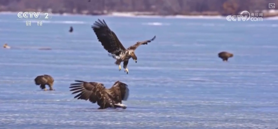 好风景变身好“钱”景 鸟语花香点亮“春日经济”新活力 好风景变身好“钱”景 鸟语花香点亮“春日经济”新活力