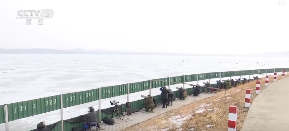 好风景变身好“钱”景 鸟语花香点亮“春日经济”新活力 好风景变身好“钱”景 鸟语花香点亮“春日经济”新活力