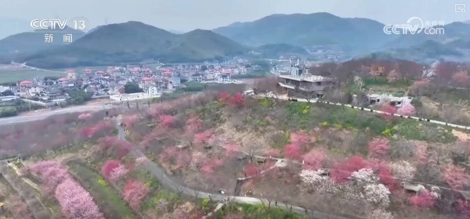 好风景变身好“钱”景 鸟语花香点亮“春日经济”新活力 好风景变身好“钱”景 鸟语花香点亮“春日经济”新活力