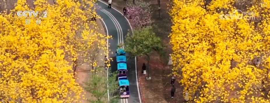 好风景变身好“钱”景 鸟语花香点亮“春日经济”新活力 好风景变身好“钱”景 鸟语花香点亮“春日经济”新活力