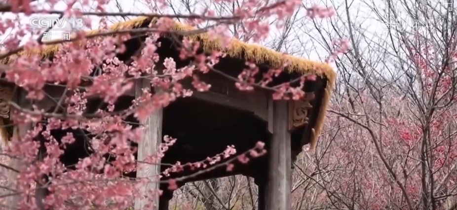 好风景变身好“钱”景 鸟语花香点亮“春日经济”新活力 好风景变身好“钱”景 鸟语花香点亮“春日经济”新活力