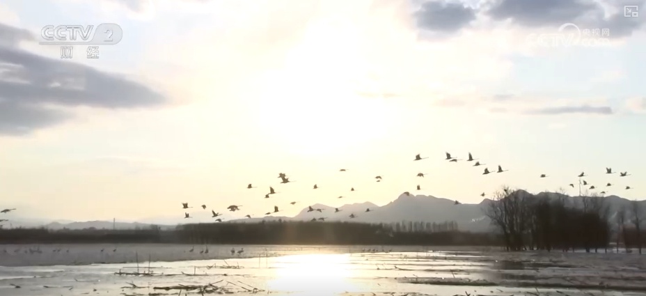好风景变身好“钱”景 鸟语花香点亮“春日经济”新活力 好风景变身好“钱”景 鸟语花香点亮“春日经济”新活力