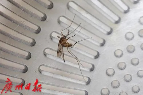 “这首歌还有这个功效？”不少网友亲测！专家回应→