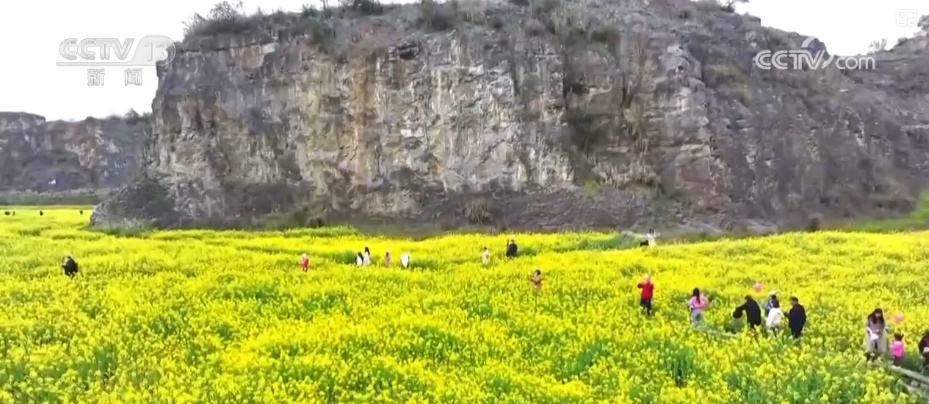 好风景变身好“钱”景 鸟语花香点亮“春日经济”新活力 好风景变身好“钱”景 鸟语花香点亮“春日经济”新活力