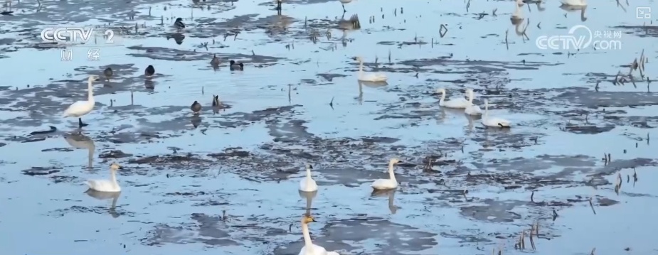 好风景变身好“钱”景 鸟语花香点亮“春日经济”新活力 好风景变身好“钱”景 鸟语花香点亮“春日经济”新活力