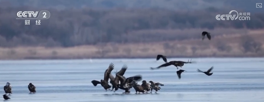 好风景变身好“钱”景 鸟语花香点亮“春日经济”新活力 好风景变身好“钱”景 鸟语花香点亮“春日经济”新活力