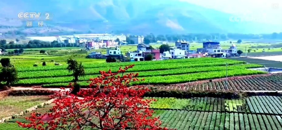 好风景变身好“钱”景 鸟语花香点亮“春日经济”新活力 好风景变身好“钱”景 鸟语花香点亮“春日经济”新活力
