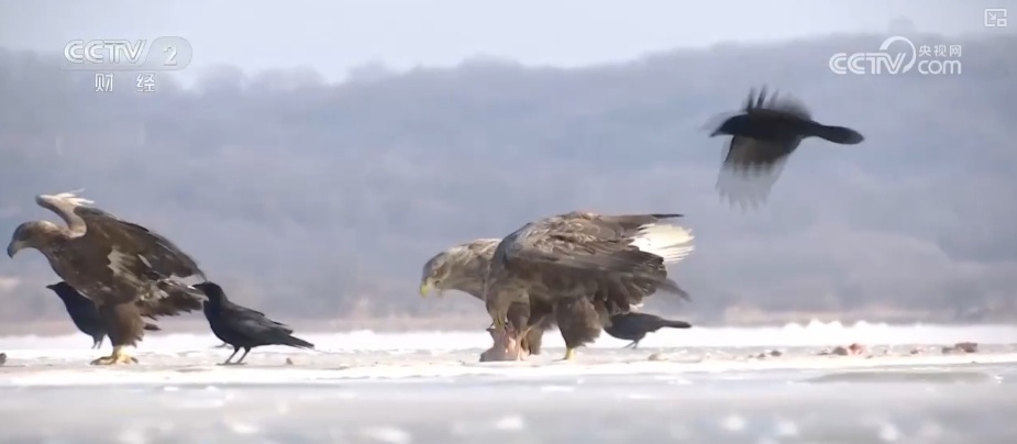 好风景变身好“钱”景 鸟语花香点亮“春日经济”新活力 好风景变身好“钱”景 鸟语花香点亮“春日经济”新活力