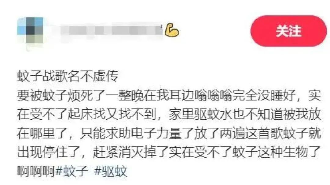 广东人狂喜！这首歌能震晕蚊子？不少人尝试了