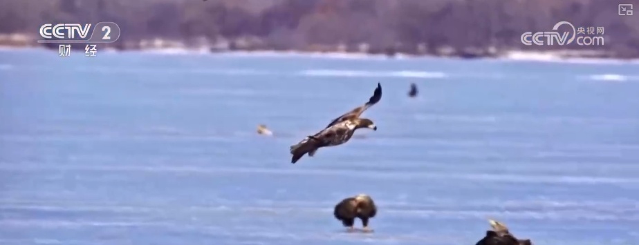 好风景变身好“钱”景 鸟语花香点亮“春日经济”新活力 好风景变身好“钱”景 鸟语花香点亮“春日经济”新活力