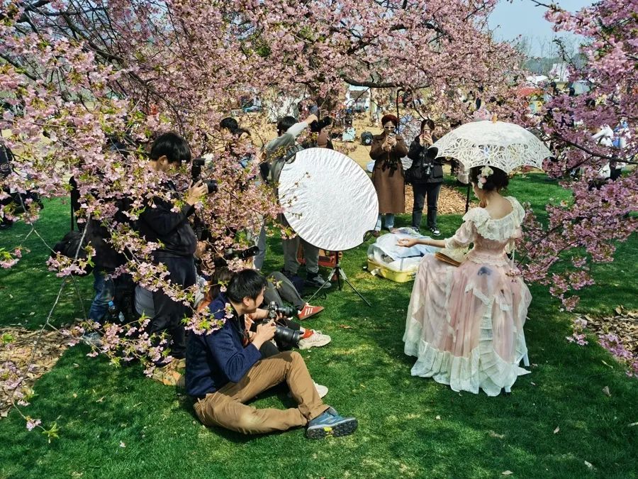 上海人屏不牢了!2天涌入10万人,有人因为这个天天被骂,“人少景美”能实现吗? 上海人屏不牢了!2天涌入10万人,有人因为这个天天被骂,“人少景美”能实现吗?