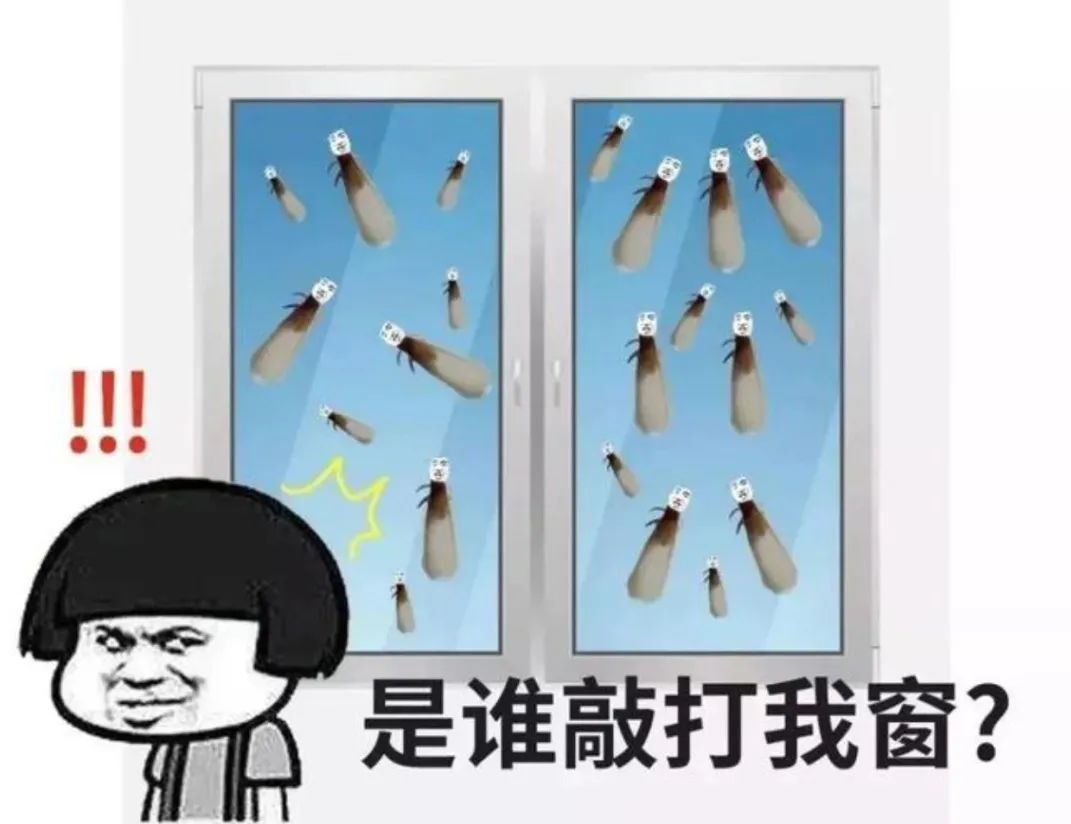 虫虫总动员！春季“虫害地图”曝光，你家上榜了吗？