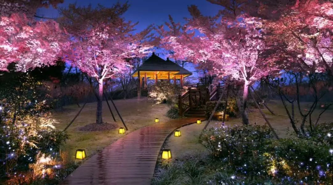 上海人屏不牢了!2天涌入10万人,有人因为这个天天被骂,“人少景美”能实现吗? 上海人屏不牢了!2天涌入10万人,有人因为这个天天被骂,“人少景美”能实现吗?