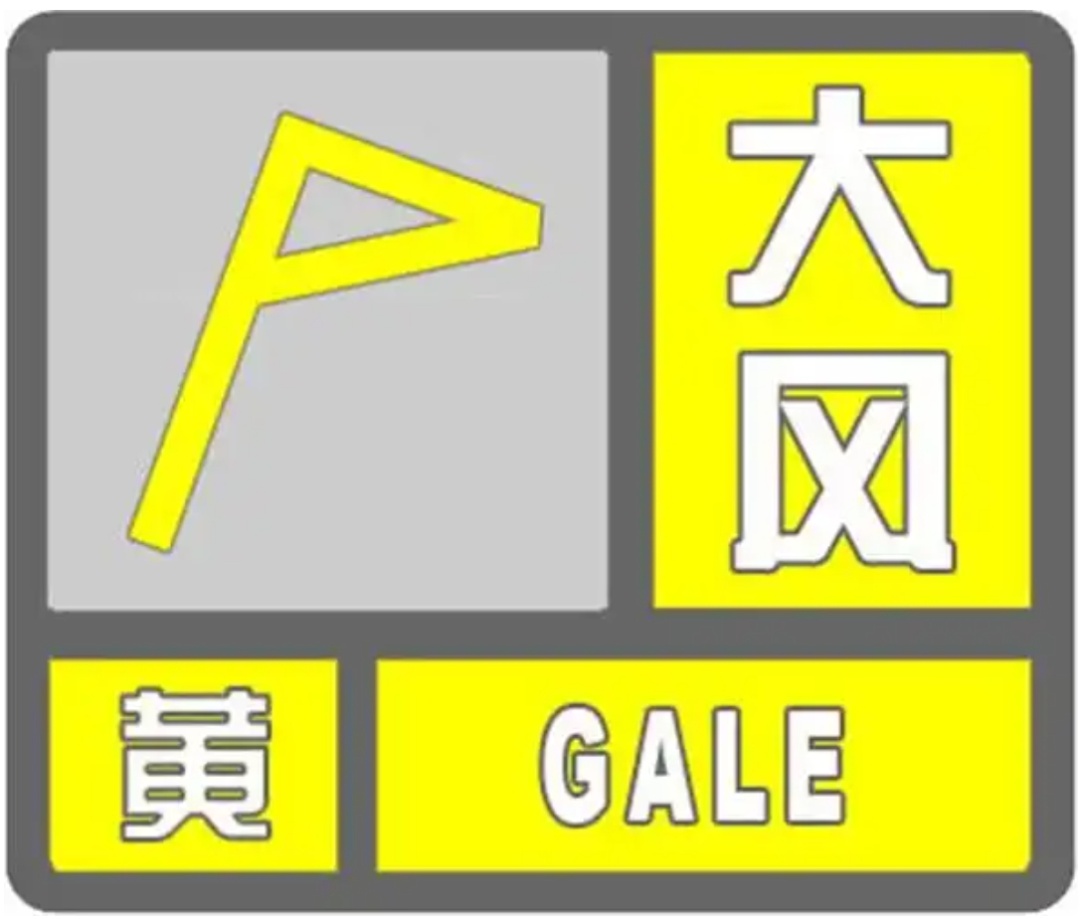 “差点被吹飞”！10级大风！沈阳市减灾委办公室紧急提醒！未来几天还有雨雪…