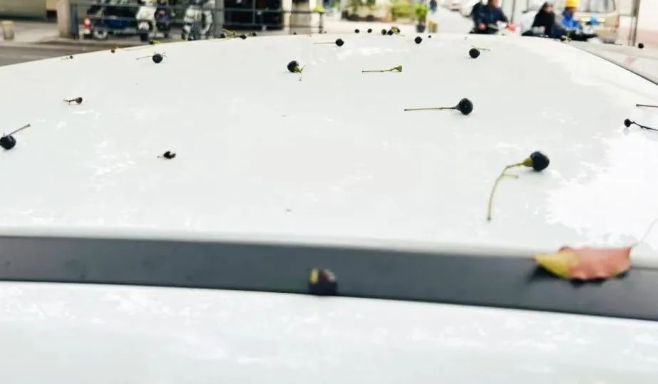 街头大量出现！别碰！