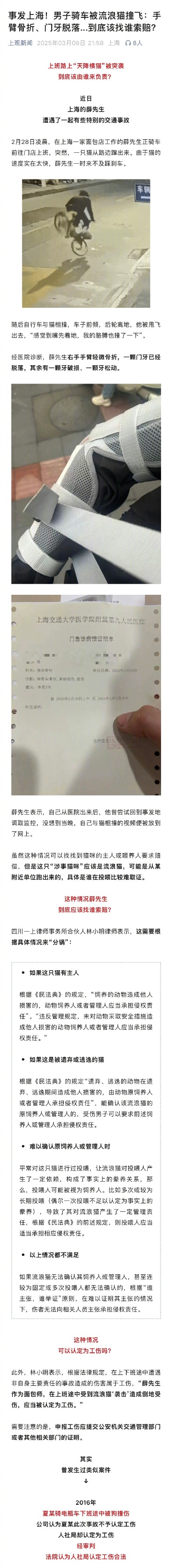 男子骑车被流浪猫撞伤 找谁索赔? 男子骑车被流浪猫撞伤 找谁索赔?