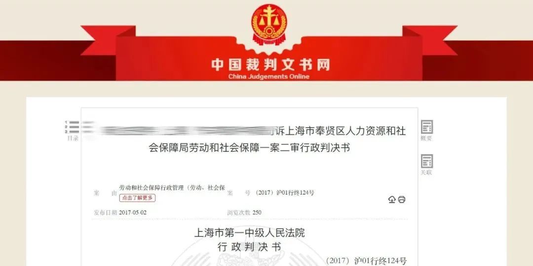 突然窜出撞飞骑车人，肇事猫“逃逸”！到底该找谁索赔？