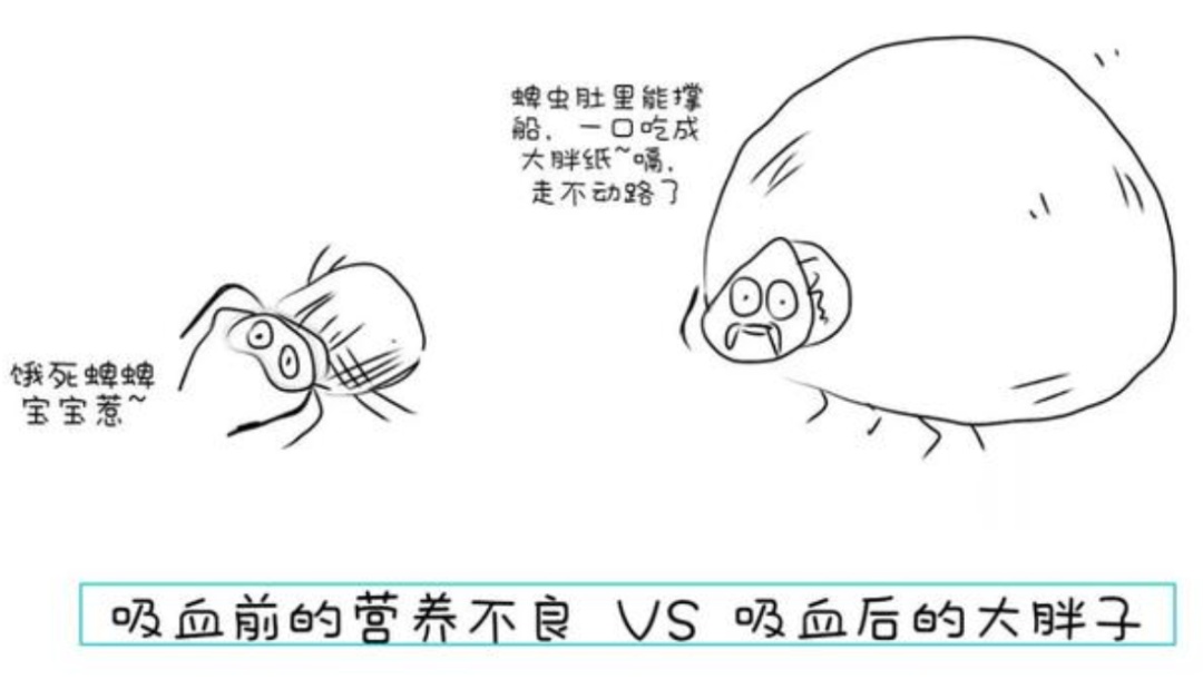 虫虫总动员！春季“虫害地图”曝光，你家上榜了吗？