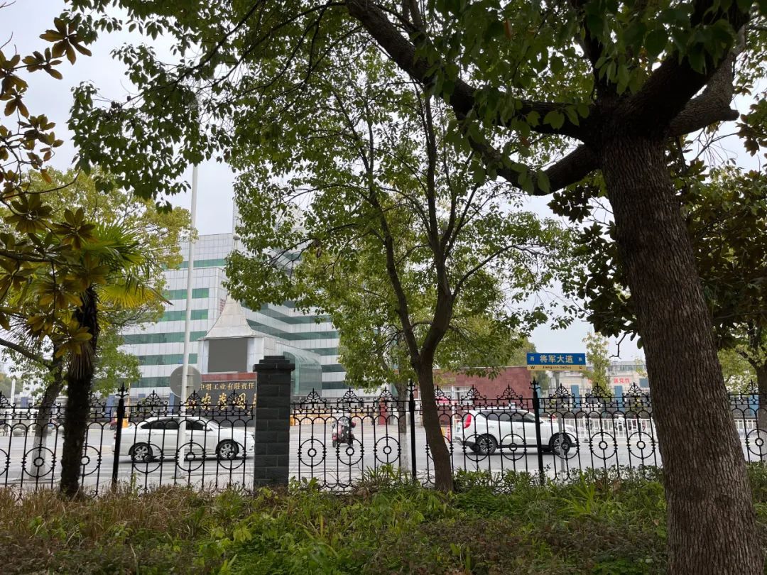 街头大量出现！别碰！