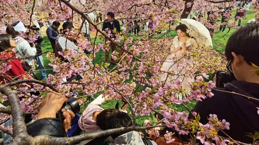 上海人屏不牢了!2天涌入10万人,有人因为这个天天被骂,“人少景美”能实现吗? 上海人屏不牢了!2天涌入10万人,有人因为这个天天被骂,“人少景美”能实现吗?