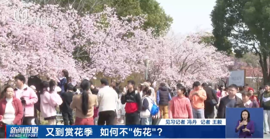 上海人屏不牢了!2天涌入10万人,有人因为这个天天被骂,“人少景美”能实现吗? 上海人屏不牢了!2天涌入10万人,有人因为这个天天被骂,“人少景美”能实现吗?