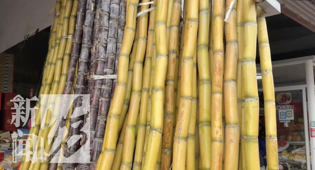 不要吃！不要吃！正大量上市！紧急提醒：严重可致命