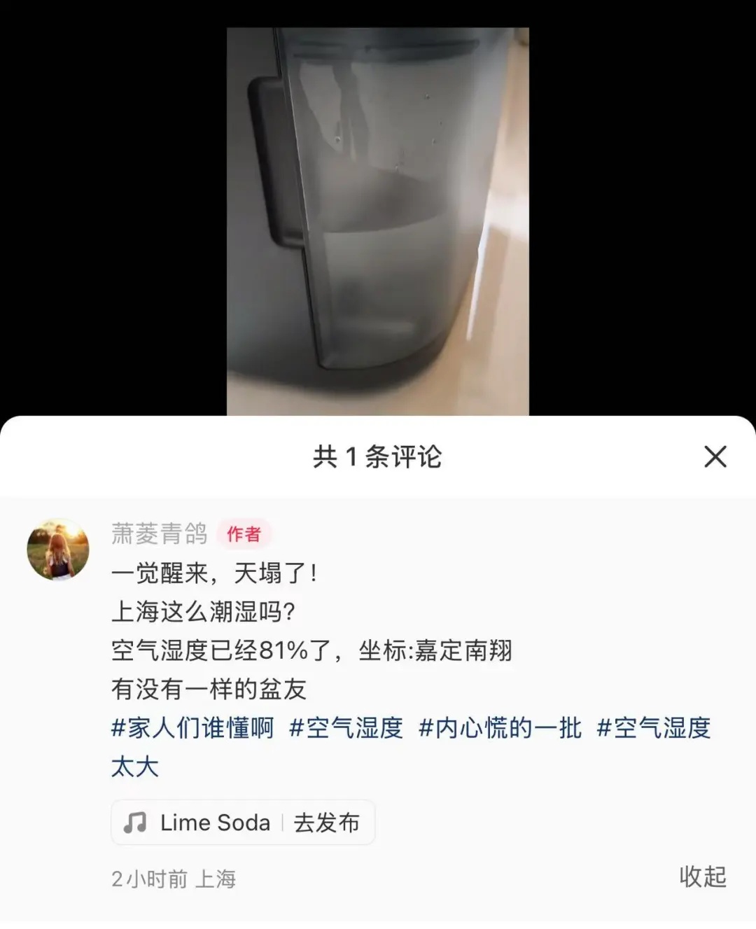 上海最新预报！今晚或有大雾，明天气温冲高20℃后又降温，这三天降水明显→
