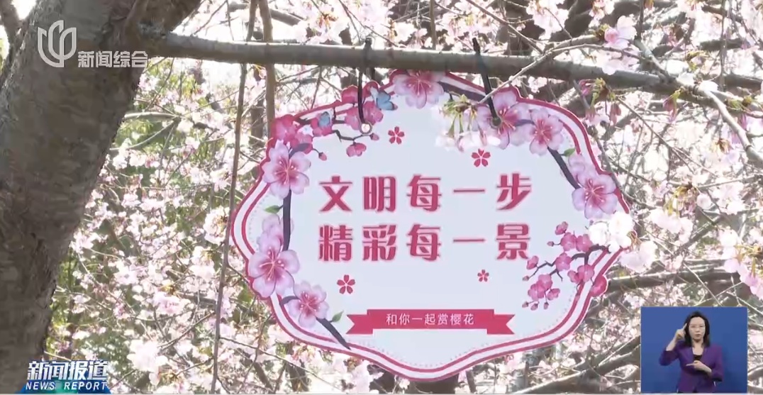 上海人屏不牢了!2天涌入10万人,有人因为这个天天被骂,“人少景美”能实现吗? 上海人屏不牢了!2天涌入10万人,有人因为这个天天被骂,“人少景美”能实现吗?