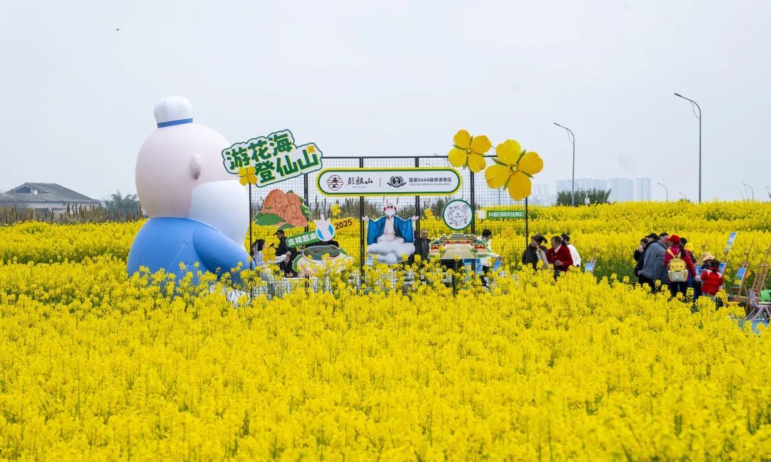 四川眉山：将“鲜花颜值”转化为“经济价值”
