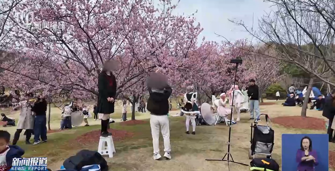 上海人屏不牢了!2天涌入10万人,有人因为这个天天被骂,“人少景美”能实现吗? 上海人屏不牢了!2天涌入10万人,有人因为这个天天被骂,“人少景美”能实现吗?