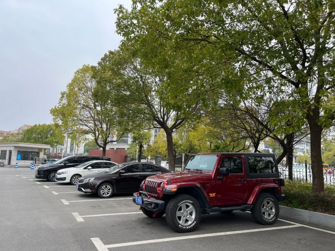 街头大量出现！别碰！