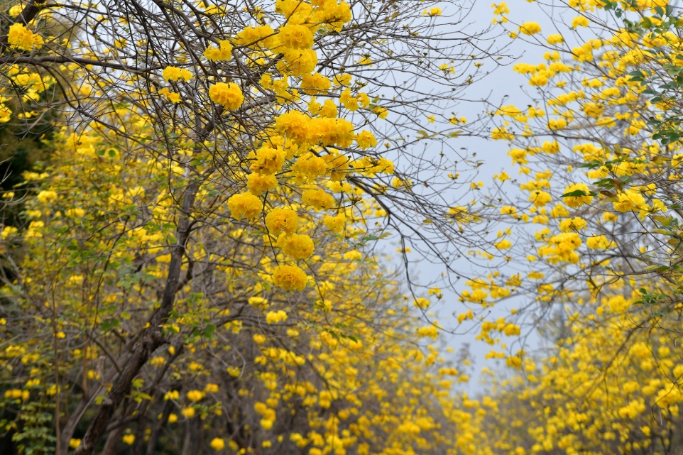 最高气温重回“2字头”,未来两天继续回暖,之后阿冷又来了 最高气温重回“2字头”,未来两天继续回暖,之后阿冷又来了