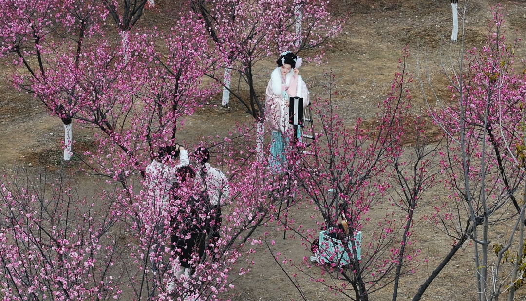 最高气温或突破20℃!郑州交警发布西流湖公园赏花出行图 最高气温或突破20℃!郑州交警发布西流湖公园赏花出行图