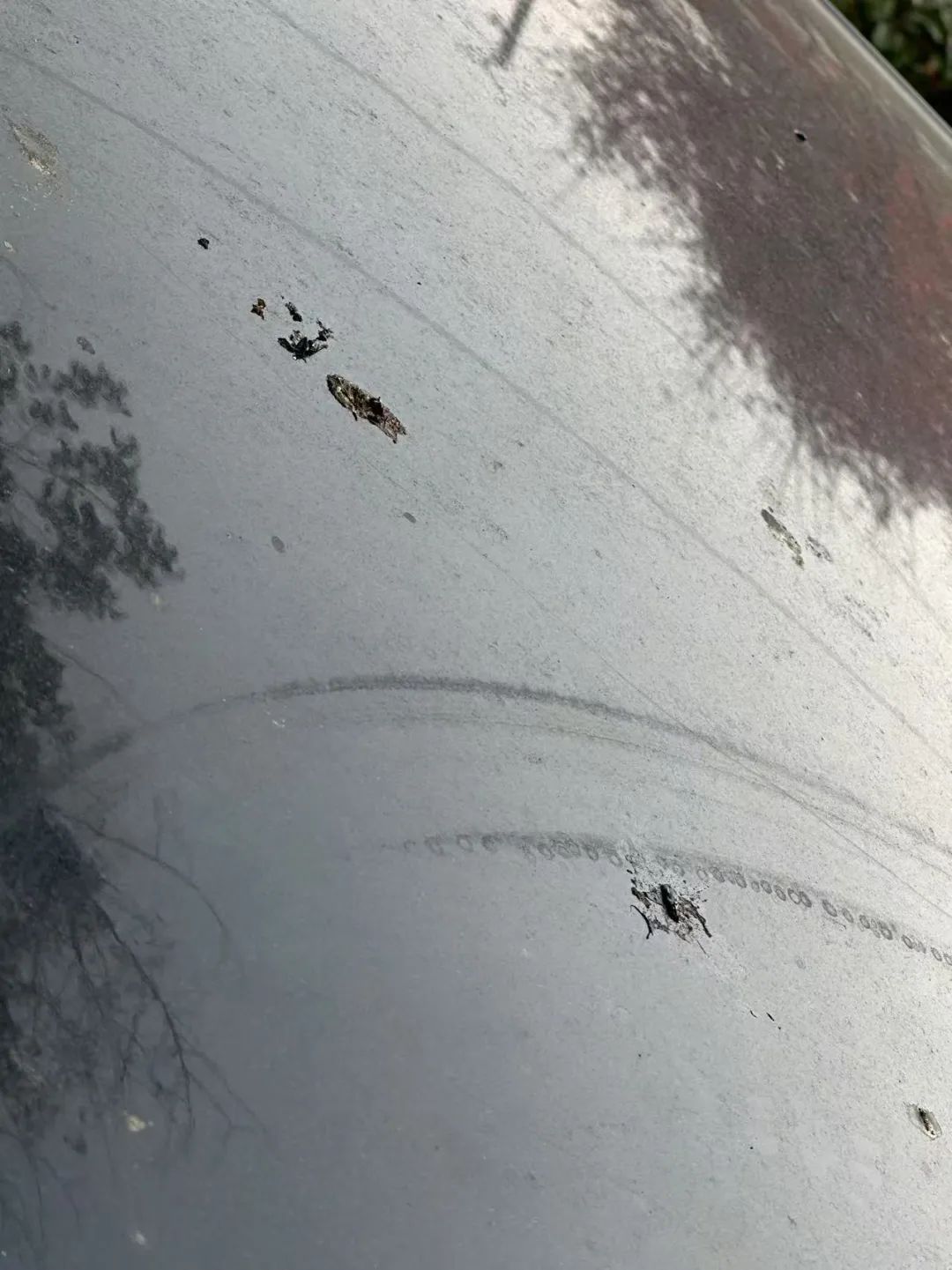 街头大量出现！别碰！