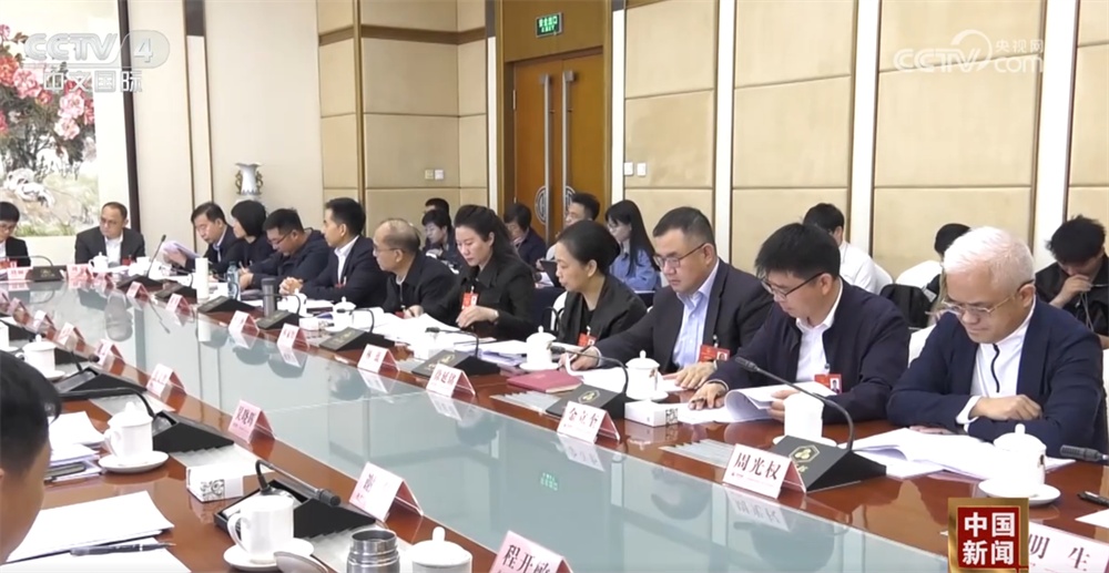 补短板、强根基！代表委员热议如何呵护未来产业长成“参天大树”