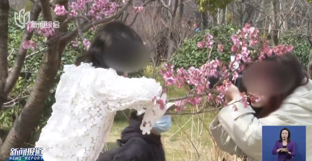 上海人屏不牢了!2天涌入10万人,有人因为这个天天被骂,“人少景美”能实现吗? 上海人屏不牢了!2天涌入10万人,有人因为这个天天被骂,“人少景美”能实现吗?