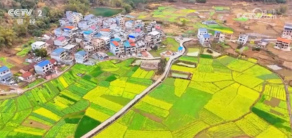 春日花经济“盛放”扮靓美丽乡村 以“花”为媒释放旅游市场新动能 春日花经济“盛放”扮靓美丽乡村 以“花”为媒释放旅游市场新动能