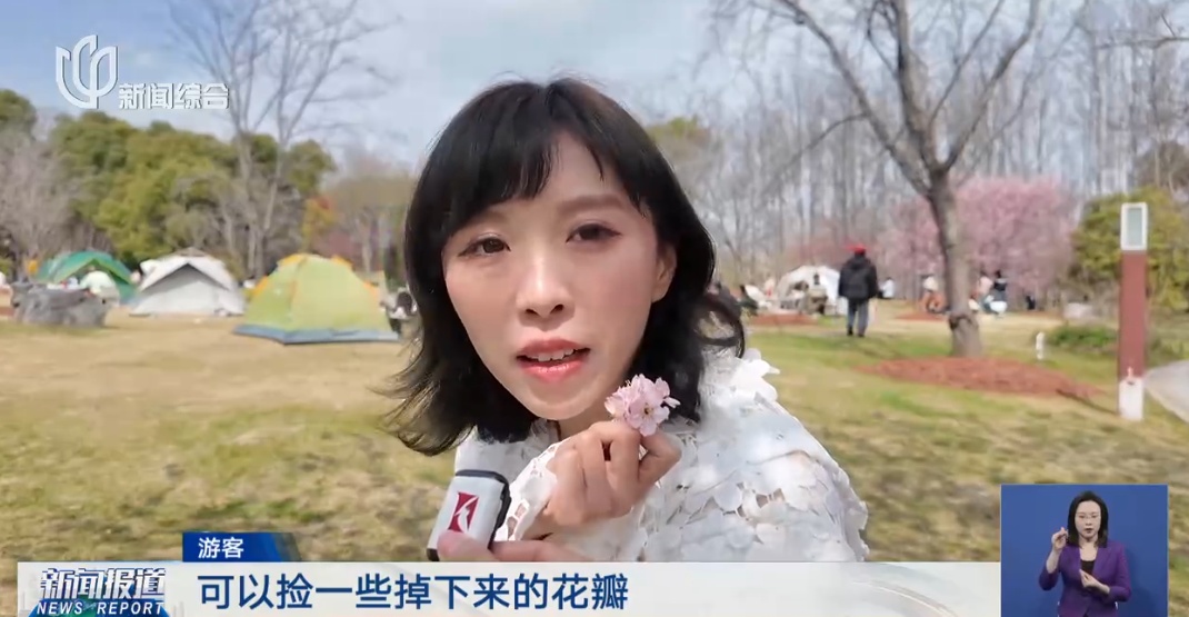 上海人屏不牢了!2天涌入10万人,有人因为这个天天被骂,“人少景美”能实现吗? 上海人屏不牢了!2天涌入10万人,有人因为这个天天被骂,“人少景美”能实现吗?