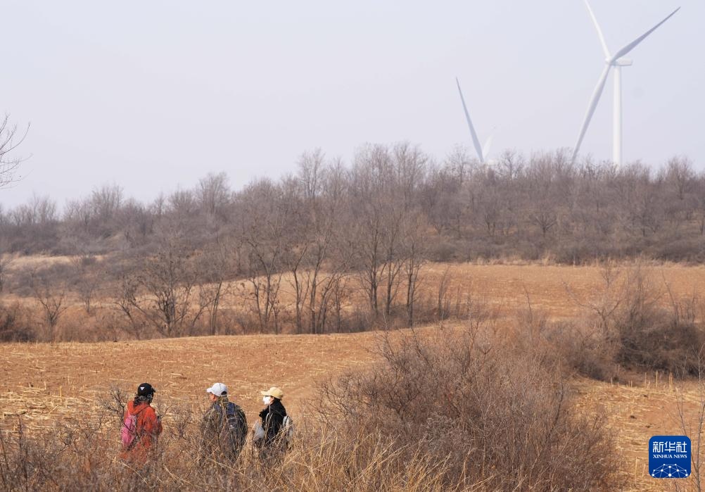辽宁朝阳:调查红山文化遗迹 辽宁朝阳:调查红山文化遗迹