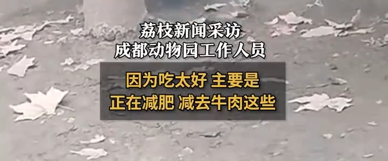 最新画面曝光！“申公豹”变得认不出了，园方回应