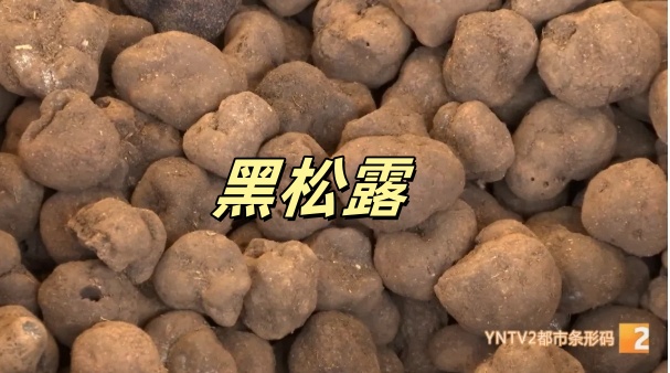 价格近乎“腰斩”!这类菌子正在热销 价格近乎“腰斩”!这类菌子正在热销