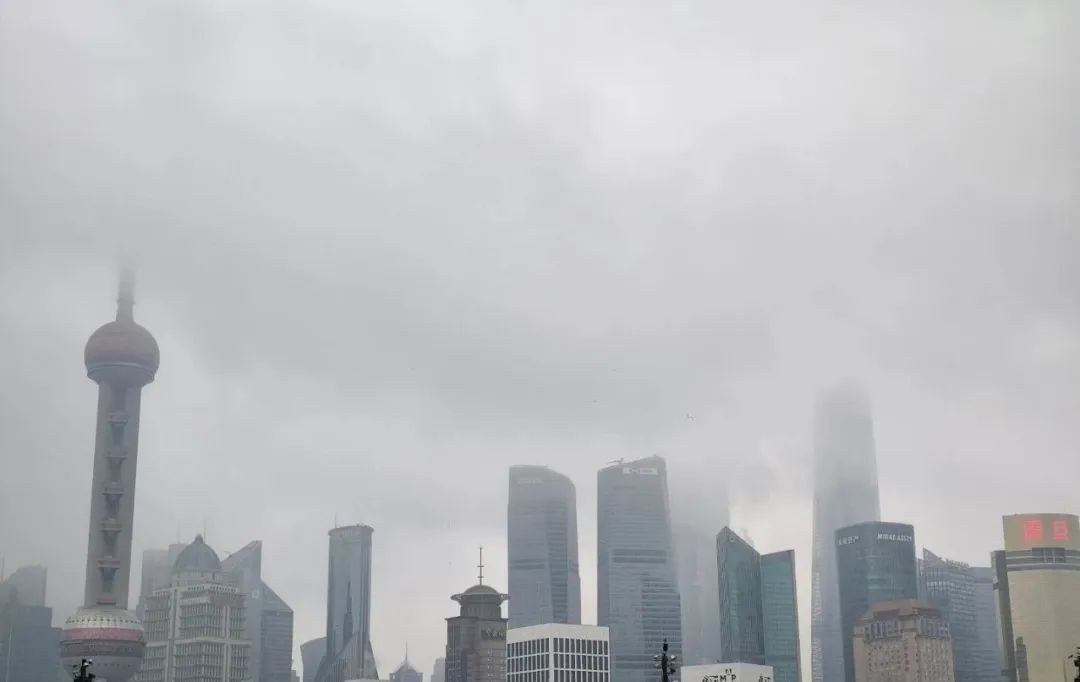 注意，上海多区预警！今天直冲20℃？这件事抓紧做