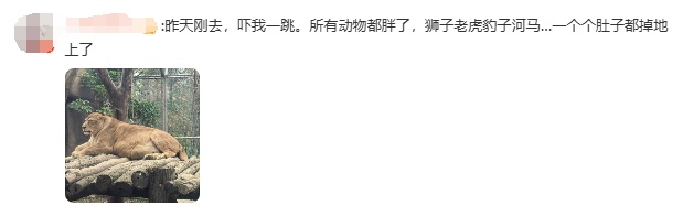 最新画面曝光！“申公豹”变得认不出了，园方回应