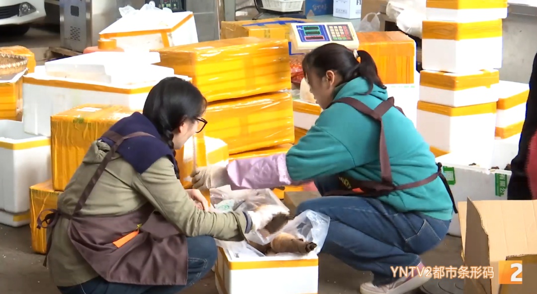 价格近乎“腰斩”!这类菌子正在热销 价格近乎“腰斩”!这类菌子正在热销